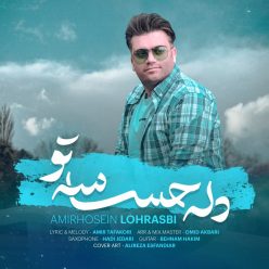 دانلود آهنگ امیر حسین لهراسبی دل حساس تو با کیفیت 320